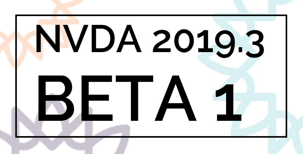 Text reading "NVDA 2019.3 BETA 1" with sunburst background.