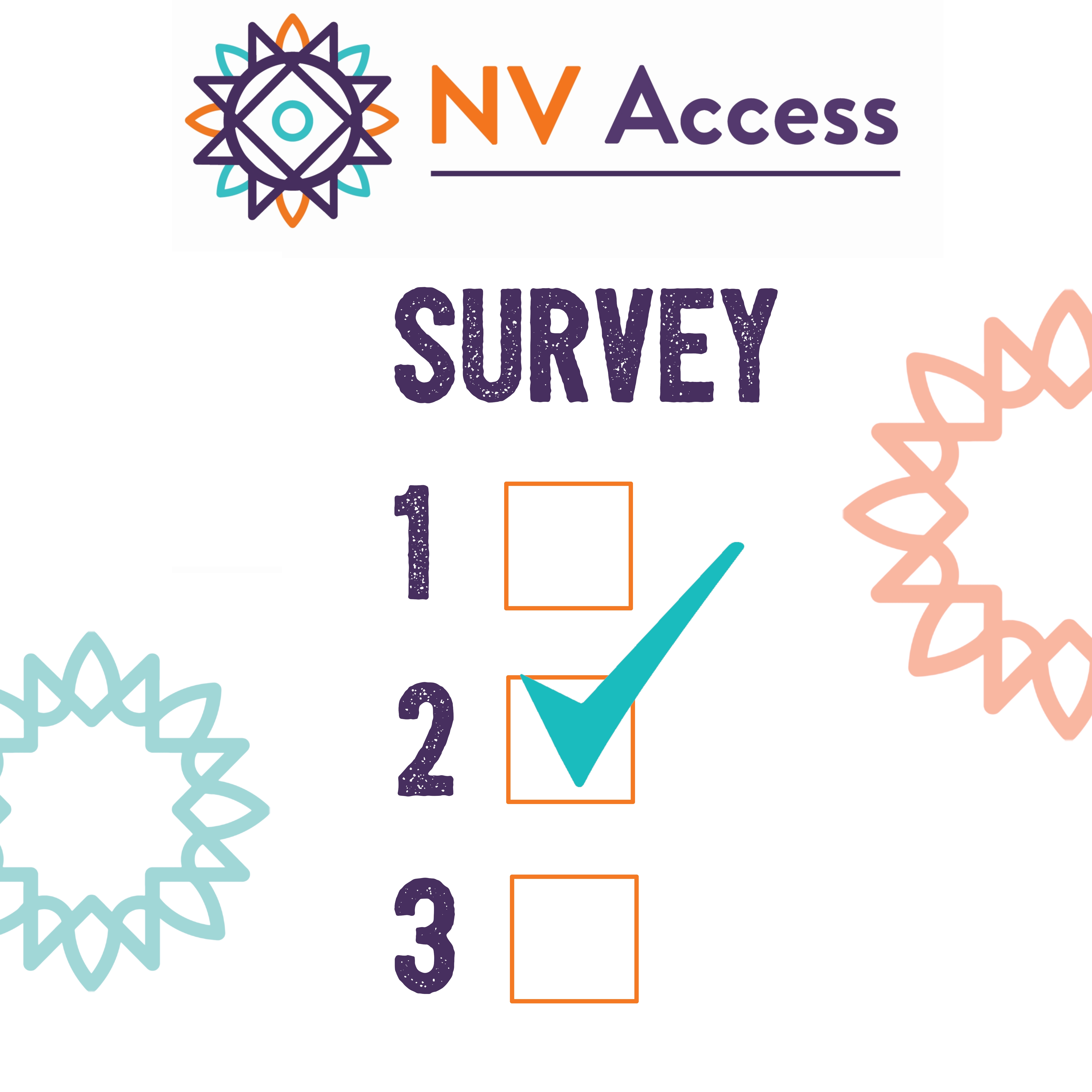 NV Access Survey mockup image