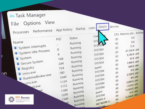 Details view of Task Manager.  Pretty NV Access colours around the edge for decoration.