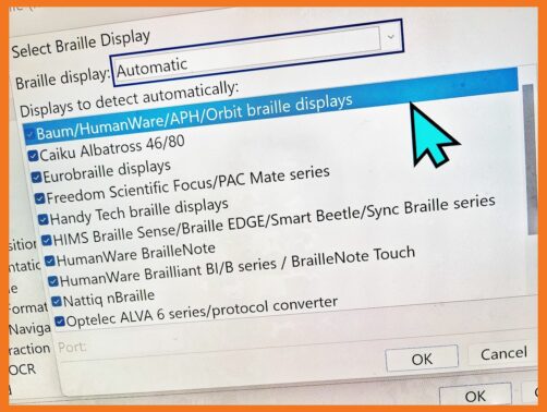 Screenshot of the Select Braille display screen showing "Automatic" selected and a range of Braille drivers with checkboxes next to each.