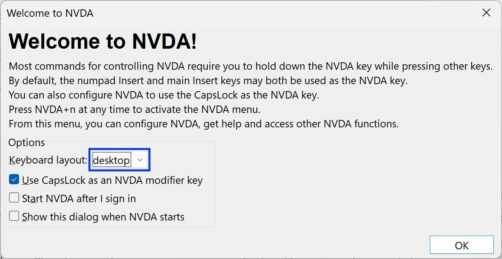 Screenshot of NVDA's welcome dialog.  The dialog contains a heading, introductory text, four options you can adjust and an OK button.