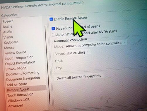 Picture of NVDA Remote settings showing NVDA Remote enabled with shades of orange, purple and turquoise in the corners