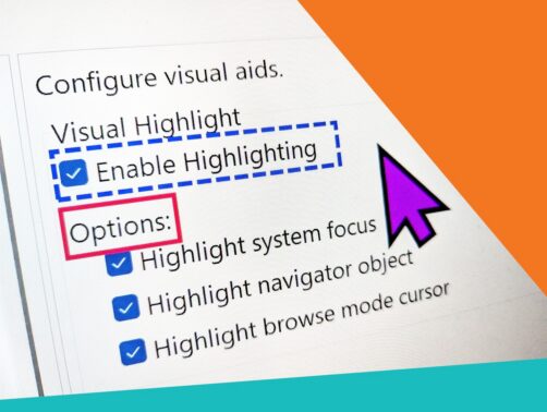 Photo of NVDA's Visual Highlight options with a dotted blue line around "Enable Highlighting" and a pink line around "Options". Purple mouse pointer and two corners covered in orange, and turquoise coloured triangles